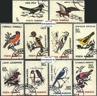 Známky Rumunsko 1993 Vtáci, razítkovaná séria - Kliknutím na obrázok zatvorte -